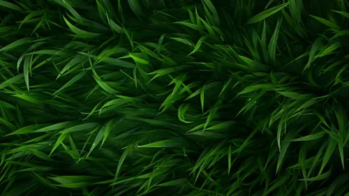 Green Grass Background for PowerPoint with Dark Blades
