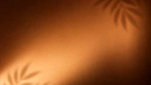 Orange Background for PowerPoint with Palm Leaf Shadows and a Diagonal Amber Glow Orange Background for PowerPoint with Palm Leaf Shadows and a Diagonal Amber Glow