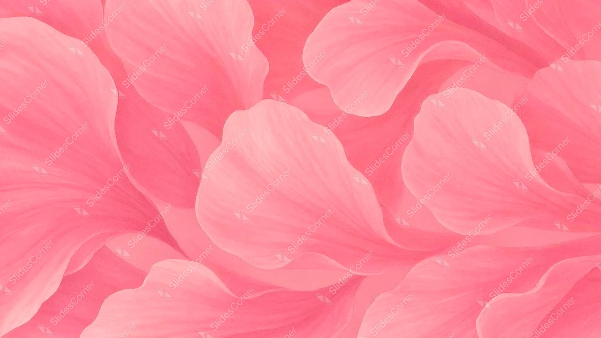 Pink Petals Background for PowerPoint with Large Overlapping Veined ...