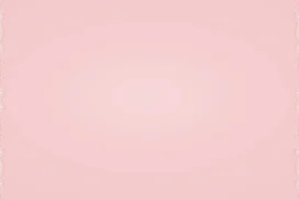 Pink Lace Background for PowerPoint with Ornate White Side Borders