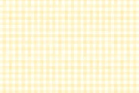 Yellow Gingham Background for Google Slides with Soft Butter and Cream Picnic Checks